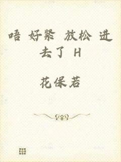 唔 好紧 放松 进去了 H